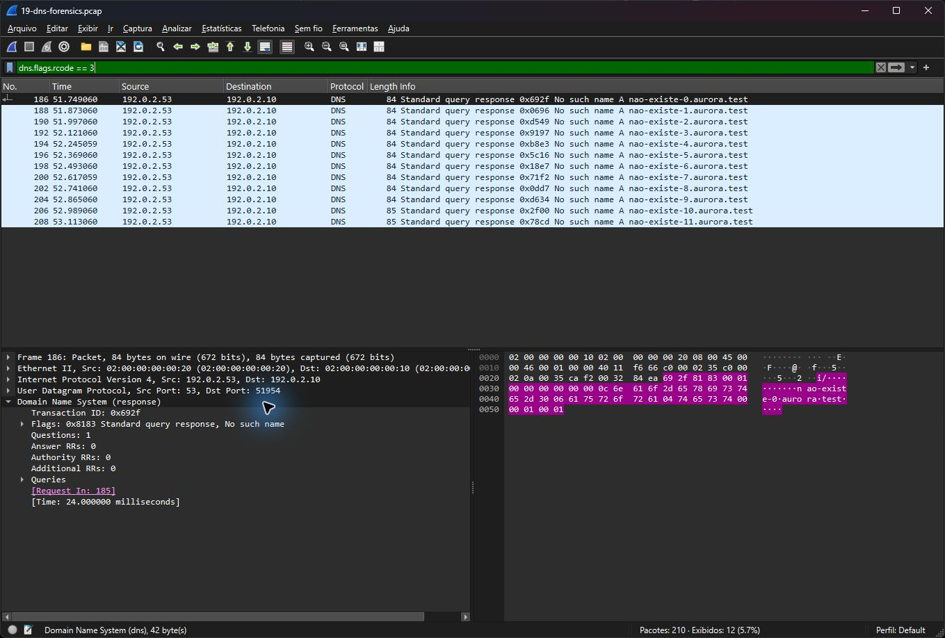 Wireshark real exibindo as doze respostas NXDOMAIN do conjunto DNS de laboratório