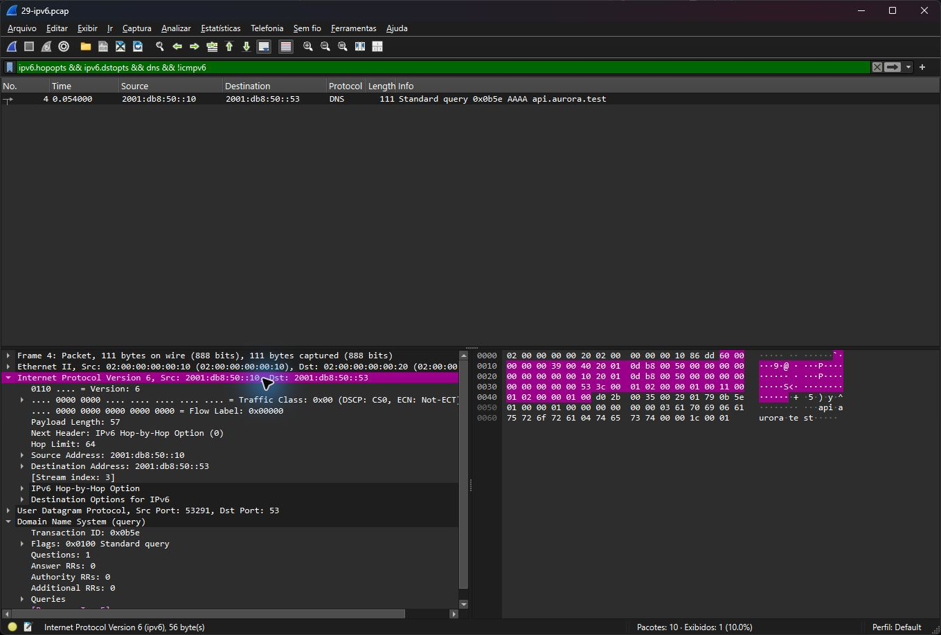 Wireshark real detalhando Hop by Hop, Destination Options, UDP e DNS no frame IPv6 de laboratório