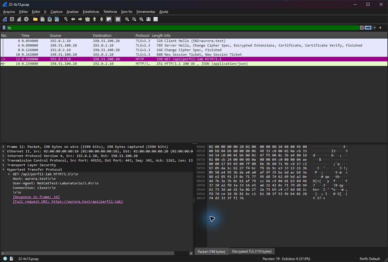 Wireshark real reconstruindo GET api perfil lab e response HTTP dentro de TLS com chaves exclusivas do laboratório