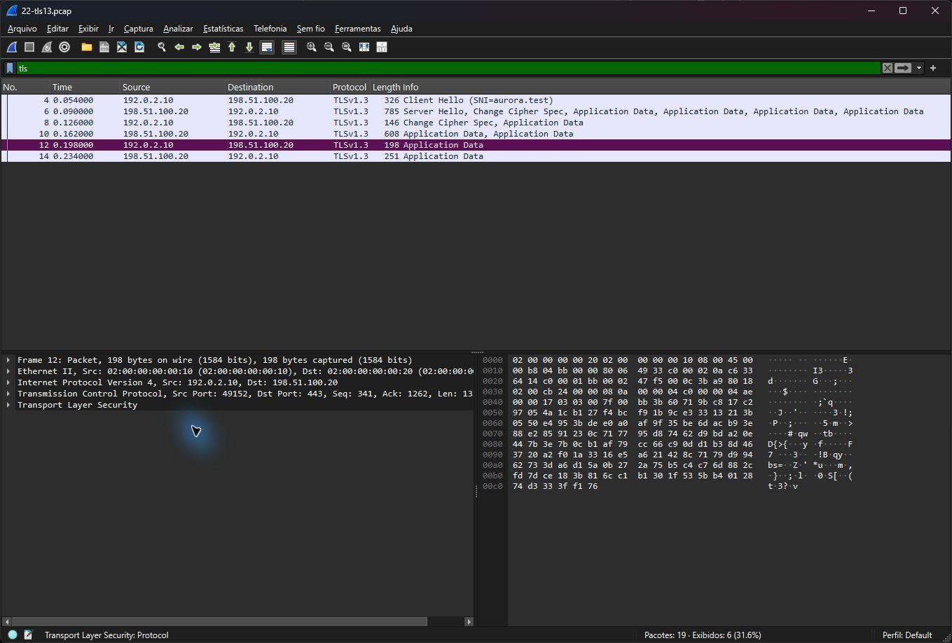 Wireshark real mostrando handshake e registros TLS 1.3 do laboratório sem decriptação HTTP