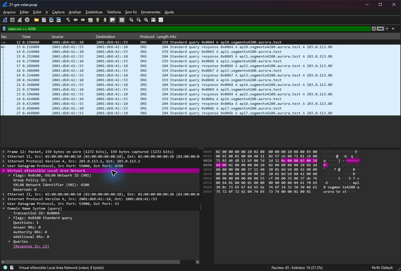 Wireshark real detalhando VXLAN VNI 4200 com quadro Ethernet, IPv6 e consulta DNS internos